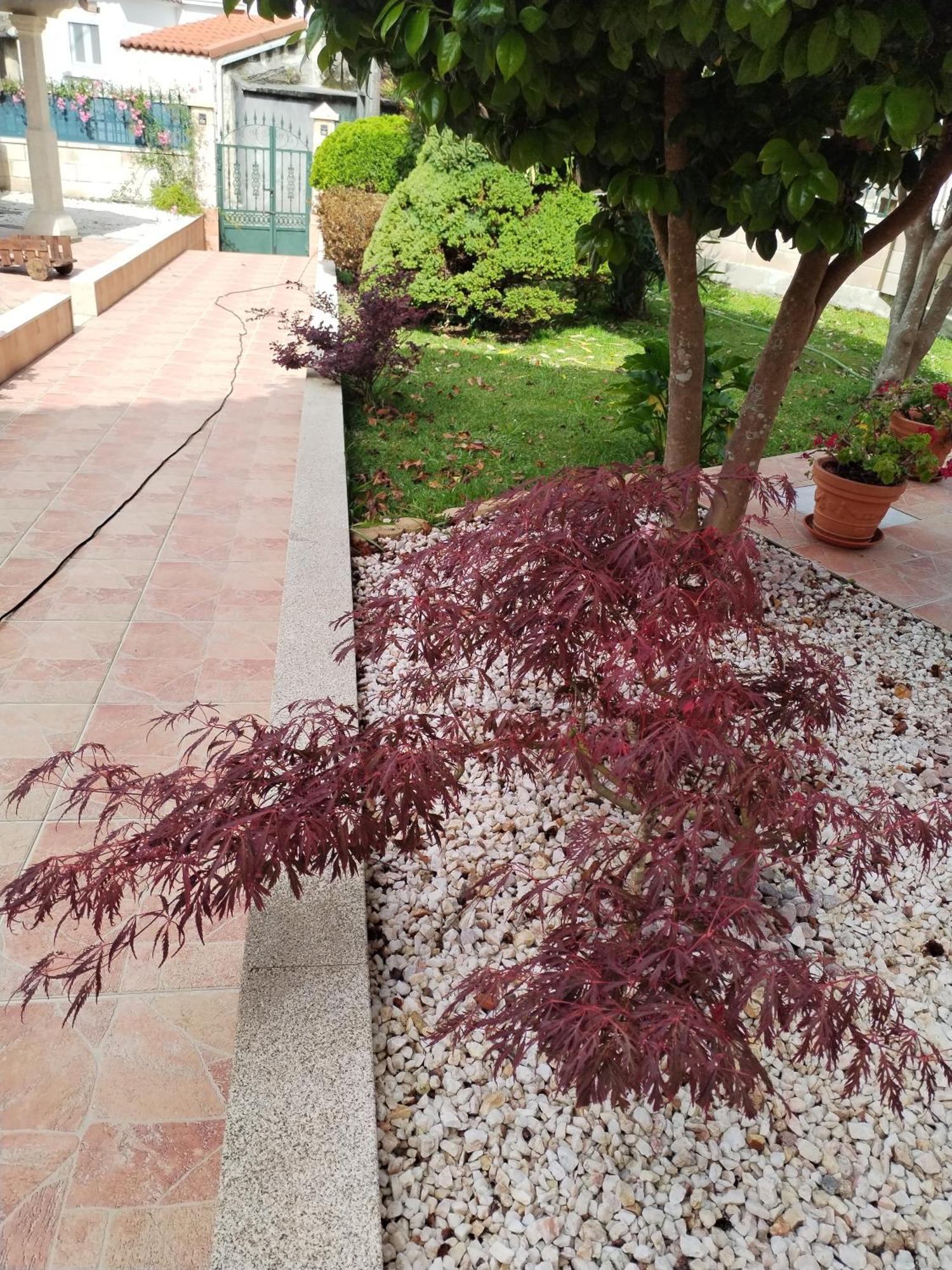 Casa Lopez Villa Carnota Dış mekan fotoğraf